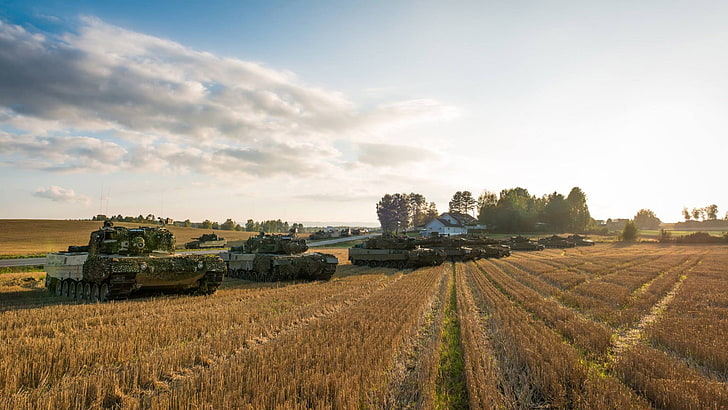 военен, танк, норвежка армия, Leopard 2, Норвегия, Leopard 2A4NO, поле, CV9035, HD тапет