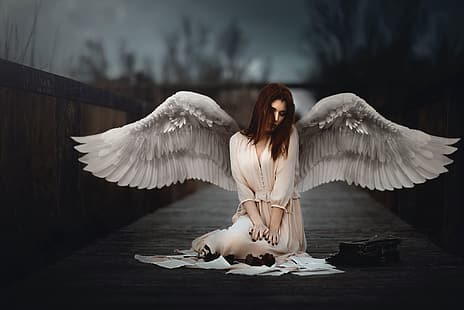  wings, angel, alone, women, HD wallpaper HD wallpaper