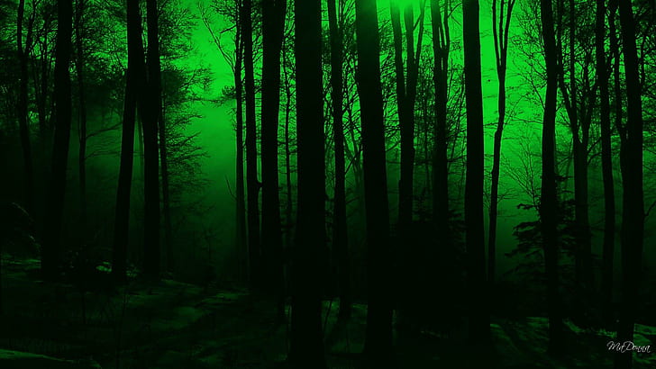 Mystischer Wald, Firefox-Person, Wald, Fantasie, magisch, grün, mit großem Bildschirm, 3d und abstrakt, HD-Hintergrundbild