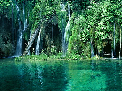 selva-cascadas-, vegetecion-naturaleza-paisaje-, Fond d'écran HD HD wallpaper