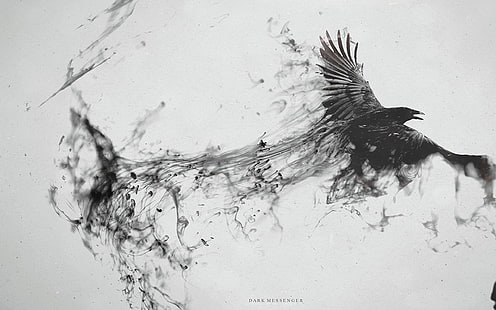 черный орел эскиз, ворон, цифровое искусство, фото манипуляции, монохромный, птицы, животные, произведения искусства, HD обои HD wallpaper