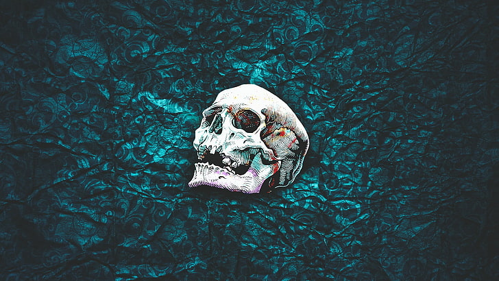 white skull painting, skull, pattern, abstract, simple background, HD wallpaper