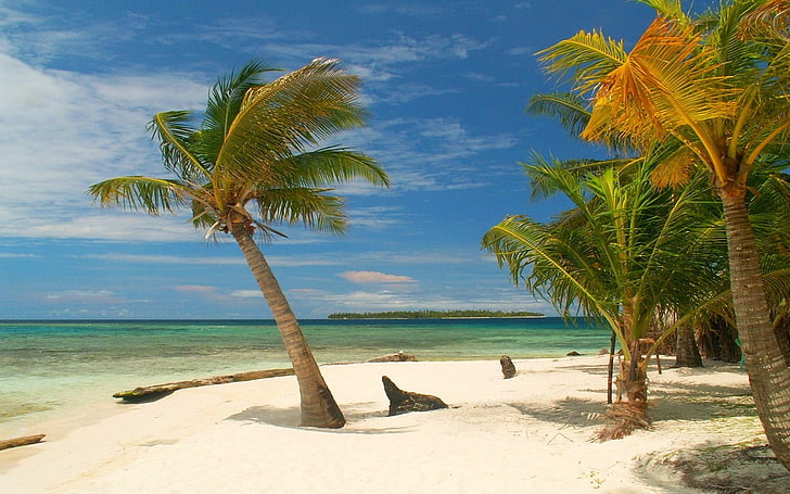 fotografía, paisaje, naturaleza, isla, tropical, palmeras, playa, blanco, arena, mar, verano, México, Fondo de pantalla HD