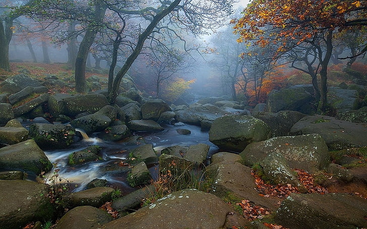 река между скали, пейзаж, природа, дървета, падане, листа, река, сутрин, мъгла, камъни, вода, HD тапет