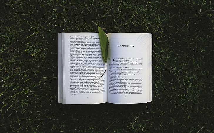 Чтение книги снаружи, белая книга, аэро, креатив, природа, зеленый, трава, лист, книга, чтение, буквы, чтение, страница, chpter, HD обои