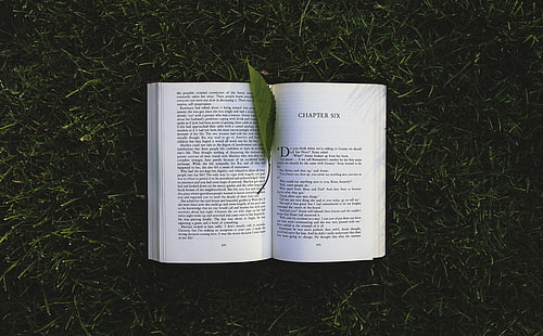 Läser en bok utanför, vit bok, Aero, kreativ, natur, grön, gräs, blad, bok, läsning, bokstäver, läsning, sida, chpter, HD tapet HD wallpaper