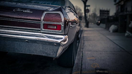 car, vintage, Chevelle SS, Chevrolet Chevelle, Chevrolet, vehicle, closeup, HD wallpaper HD wallpaper