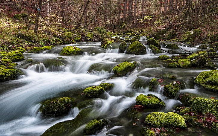 Beautiful Wallpaper Hd Resolution, High Contrast, Fast Mountain River Clear Water And White Stones With Green Moss Forest Trees Desktop Wallpaper Hd For Mobile Phones And Laptops, HD wallpaper