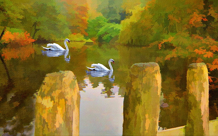 dua angsa putih di badan lukisan air, angsa, danau, gambar, Wallpaper HD