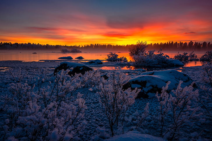 winter, snow, sunset, lake, Sweden, the bushes, Lapland, Arjeplog, Lappland, Lake Hornavan, HD wallpaper