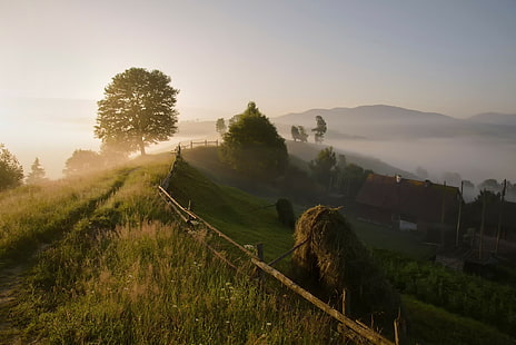 Pegunungan Carpathian, Pegunungan Carpathian, desa, kabut pagi, musim panas, Wallpaper HD HD wallpaper