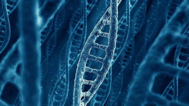blue, genetics, turquoise, gene, electric blue, dna, biology, macro photography, science, structure, molecule, x-ray, photo, HD wallpaper