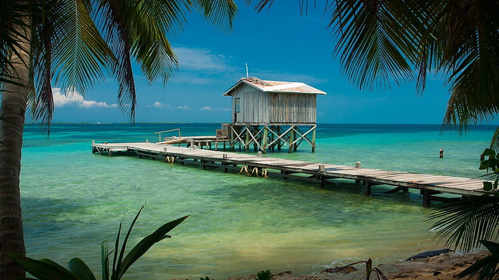 beach, Belize, Cabin, Dock, landscape, nature, Palm Trees, sea, tropical, Turquoise, water, Wooden Surface, HD wallpaper