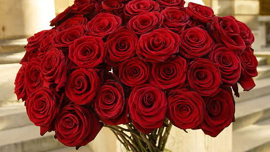 Beautiful Red Roses Flowers, Bouquet, bouquet of red roses, red, roses, HD wallpaper HD wallpaper