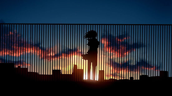 silhueta da ilustração da mulher, anime, obra de arte, pôr do sol, meninas do anime, nuvens, arte da fantasia, telhados, HD papel de parede HD wallpaper