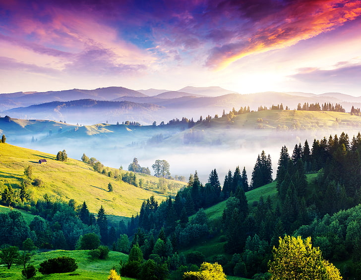 zieleń drzew, słońce, góry, mgła, pagórki, panorama, dom, Ukraina, las, Karpaty, Tapety HD