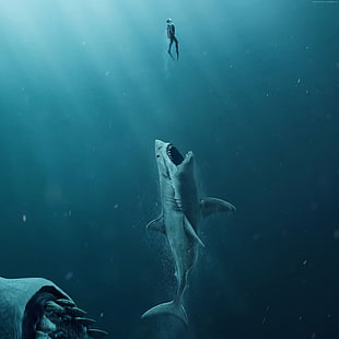 4k, The Meg, squalo, Sfondo HD HD wallpaper