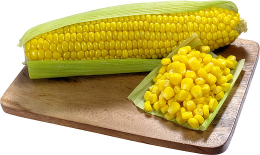 corn cobb, corn, ripe, cob, HD wallpaper HD wallpaper
