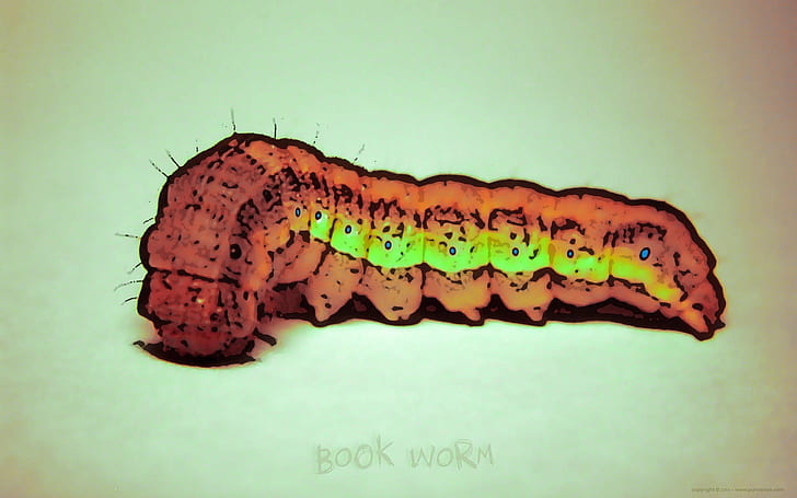 abstract, artwork, bookworm, caterpillar, HD wallpaper