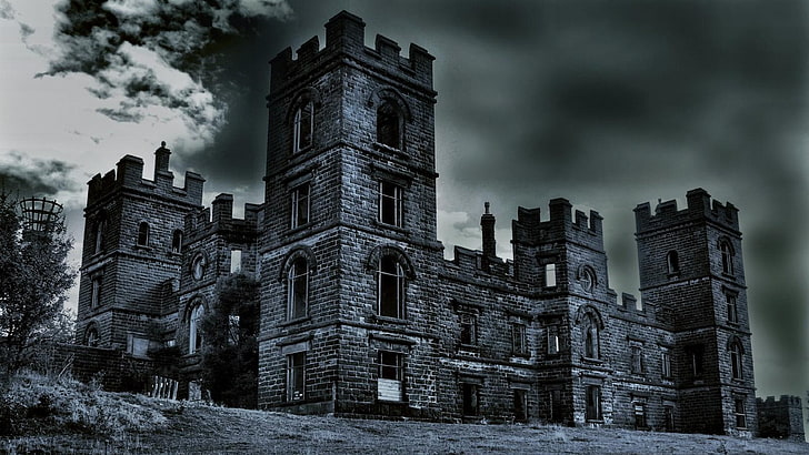 дерево, руины, замок-призрак, дом-призрак, руины, замок с привидениями, дом с привидениями, облако, история, заброшенный, жуткий, замок, небо, средневековая архитектура, монохромная фотография, здание, замок, черно-белый, монохромный, HD обои