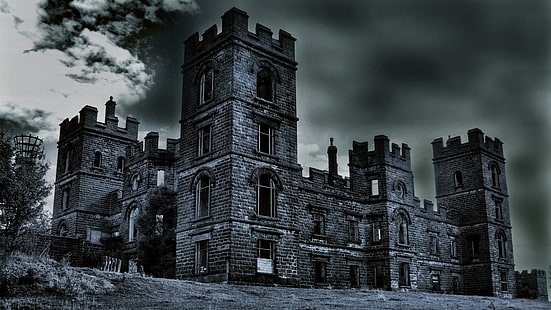 дерево, руины, замок-призрак, дом-призрак, руины, замок с привидениями, дом с привидениями, облако, история, заброшенный, жуткий, замок, небо, средневековая архитектура, монохромная фотография, здание, замок, черно-белый, монохромный, HD обои HD wallpaper