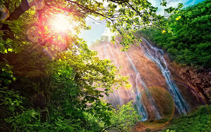 las, wodospad, światło słoneczne, natura, krajobraz, drzewa, gałąź, flara, Tapety HD