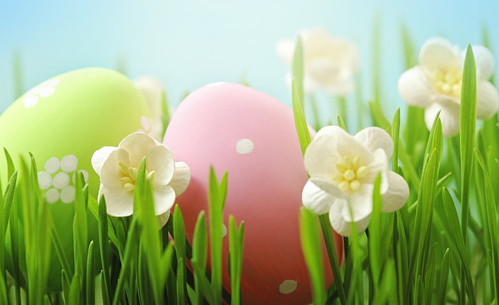 Easter, two green and pink eggs, Holidays, Easter, Colorful, Grass, Flowers, Design, Holiday, Blossom, Eggs, 2014, HD wallpaper
