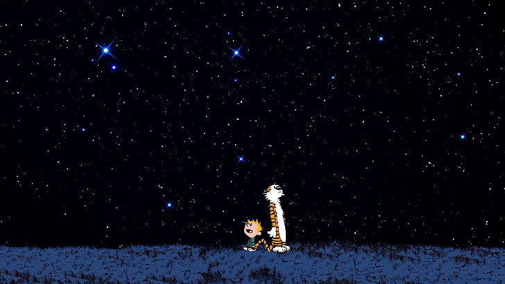 stars, night, tiger, boy, delight, Calvin and Hobbes, HD wallpaper