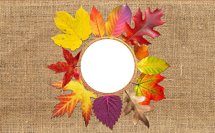 otoño, fondo, en blanco, arpillera, fondos de escritorio, escritorio, otoño, fondo de otoño, colores de otoño, follaje de otoño, hojas de otoño, marco, imágenes, fotos, jardín, otoño dorado, hoja, hojas, Fondo de pantalla HD