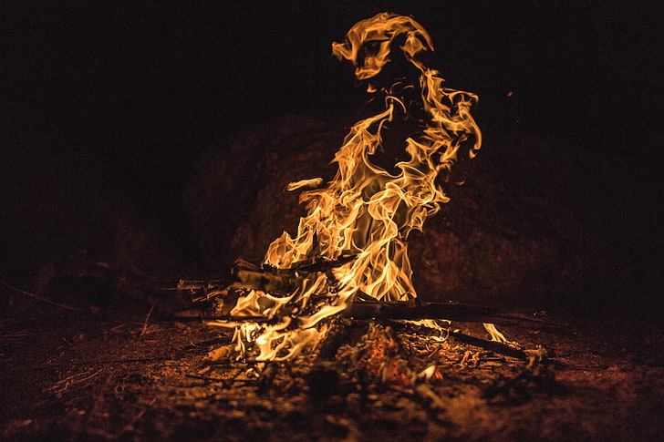 bonfire, fire, flames, ash, firewood, HD wallpaper