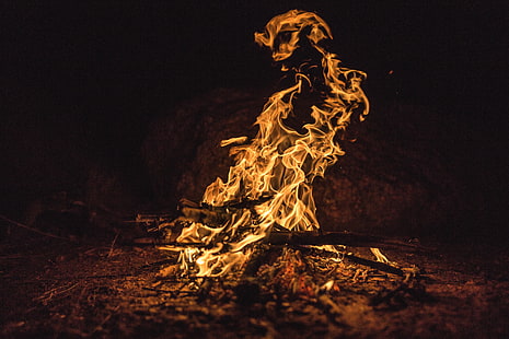 bonfire, fire, flames, ash, firewood, HD wallpaper HD wallpaper