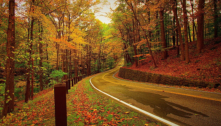 秋の道の写真hd壁紙無料ダウンロード Wallpaperbetter