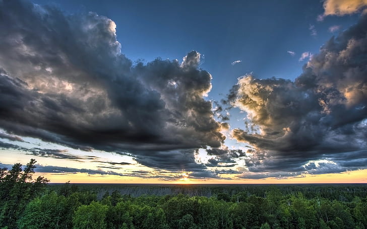ท้องฟ้าเมฆป่าต้นไม้พระอาทิตย์ตกธรรมชาติภูมิทัศน์, วอลล์เปเปอร์ HD
