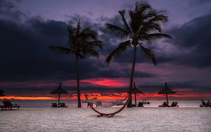 nature, landscape, palm trees, beach, sunset, HD wallpaper