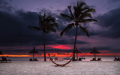 природа, пейзаж, пальмы, пляж, закат, HD обои HD wallpaper