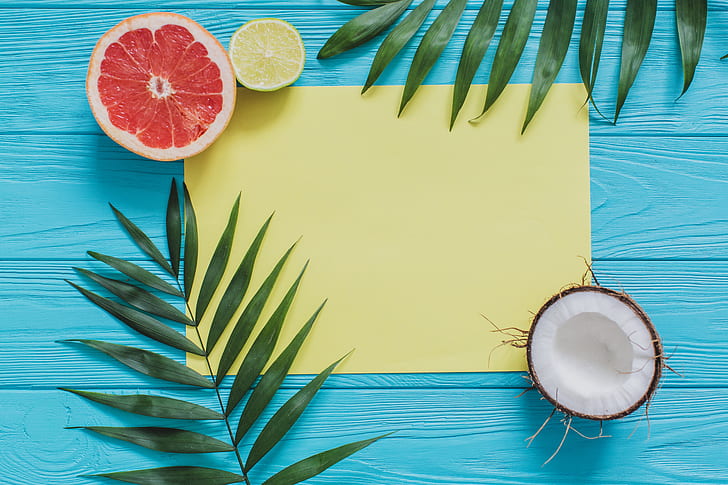 background, coconut, palm leaves, grapefruit, HD wallpaper