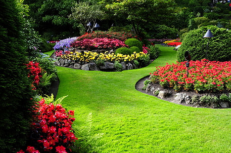 naturaleza, flores, jardín, paisaje, Fondo de pantalla HD HD wallpaper