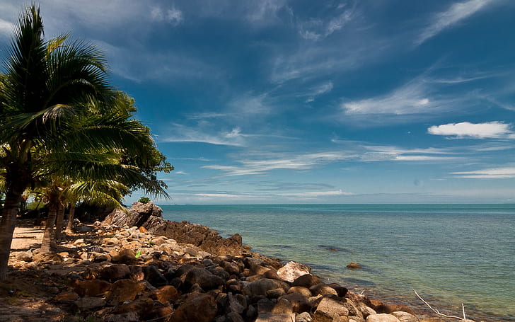 batu, pantai, pohon-pohon palem, bayangan, tropis, horison laut, awan, pola, Wallpaper HD