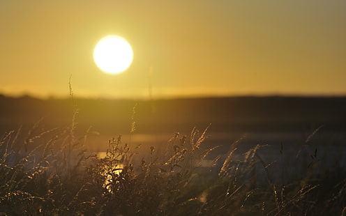 Sunset Warm HD, natura, zachód słońca, ciepło, Tapety HD HD wallpaper