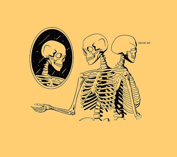 Skull and Bones, oscuro, Fondo de pantalla HD | Wallpaperbetter