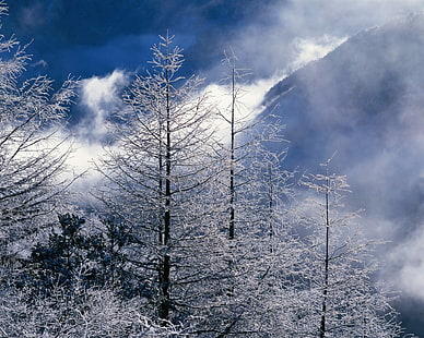 Beautiful Winter Lscapes, beautiful, winter, landscapes, HD wallpaper HD wallpaper