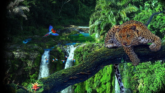 ecosistema, vegetación, vida silvestre, selva, selva tropical, bosque, bosque antiguo, organismo, loro, árbol, gato grande, agua, curso de agua, jaguar, amazonia, Fondo de pantalla HD HD wallpaper