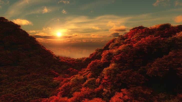red leafed tree, red forest during golden hour, fall, landscape, Sun, sky, trees, clouds, nature, forest, hills, HD wallpaper