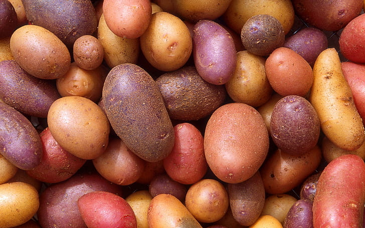 Potatoes, fruits and vegetables, photography, 2560x1600, potato, HD wallpaper