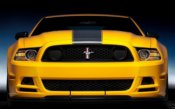 Puerta de coche amarilla y negra, coche, Ford Mustang, Fondo de pantalla HD