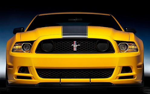 желто-черная автомобильная дверь, суперкар, Ford Mustang, HD обои HD wallpaper