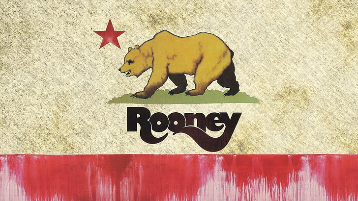 Rooney, California, bears, HD wallpaper