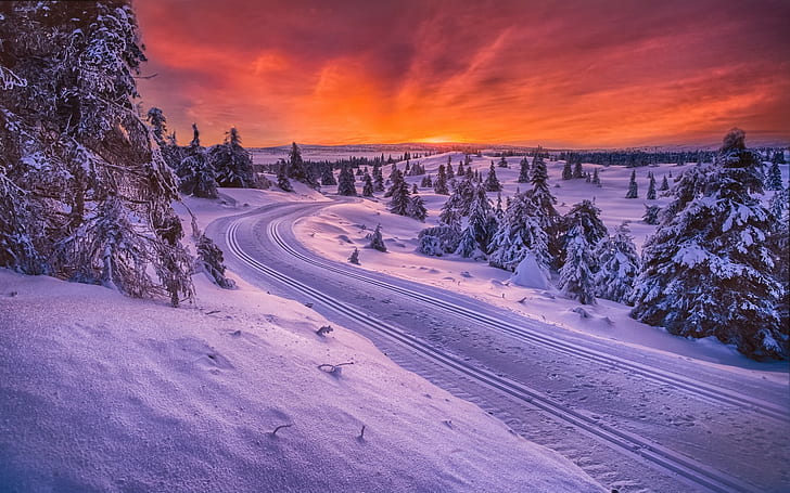alam, lanskap, Norwegia, hutan, jalan, salju, langit, pohon, musim dingin, dingin, putih, oranye, Wallpaper HD