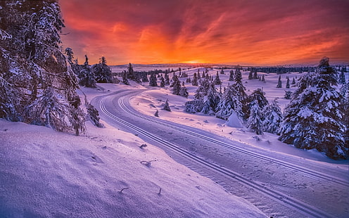 natura, paesaggio, Norvegia, foresta, strada, neve, cielo, alberi, inverno, freddo, bianco, arancione, Sfondo HD HD wallpaper