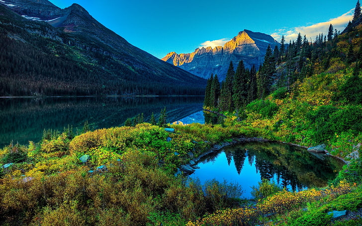corpo d'acqua calmo circondato da alberi e montagne, paesaggio, natura, montagne, acqua, sorgente, Sfondo HD